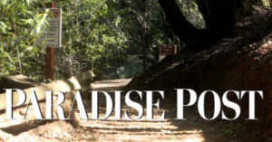Paradise Site Icon 1.png