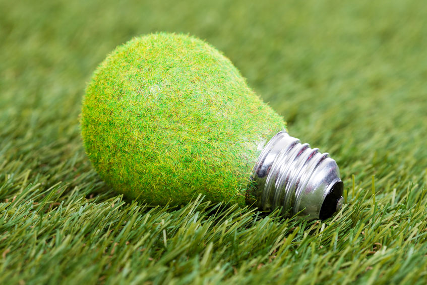 22572981 Close Up Of Energy Saving Bulb On Green Grass Energy.jpg